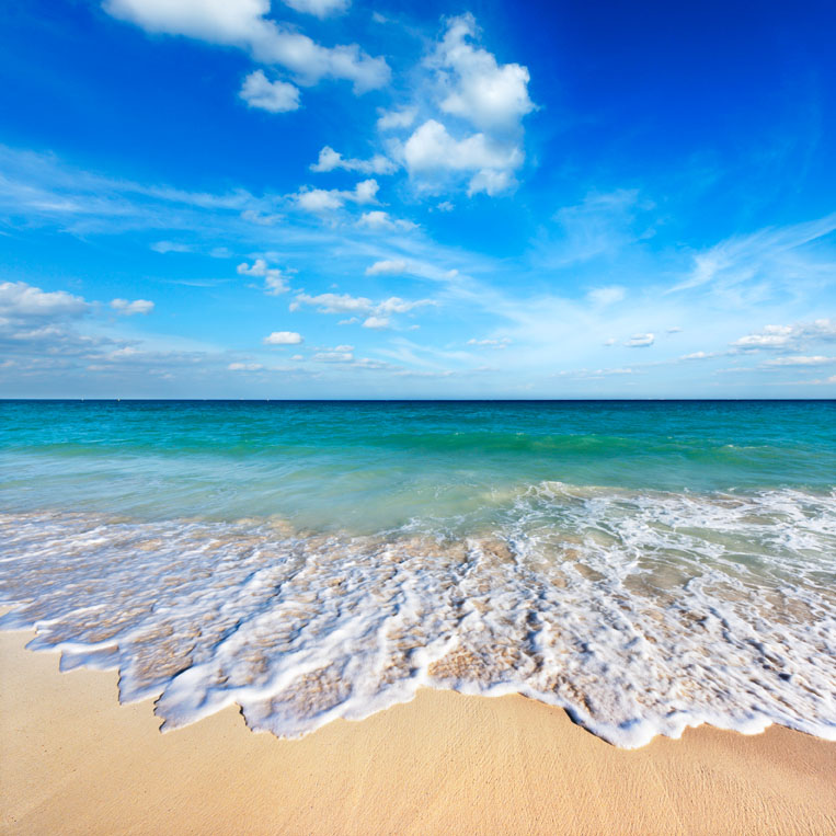 Beautiful Beach Wallpaper | Luxe Walls - Removable Wallpapers