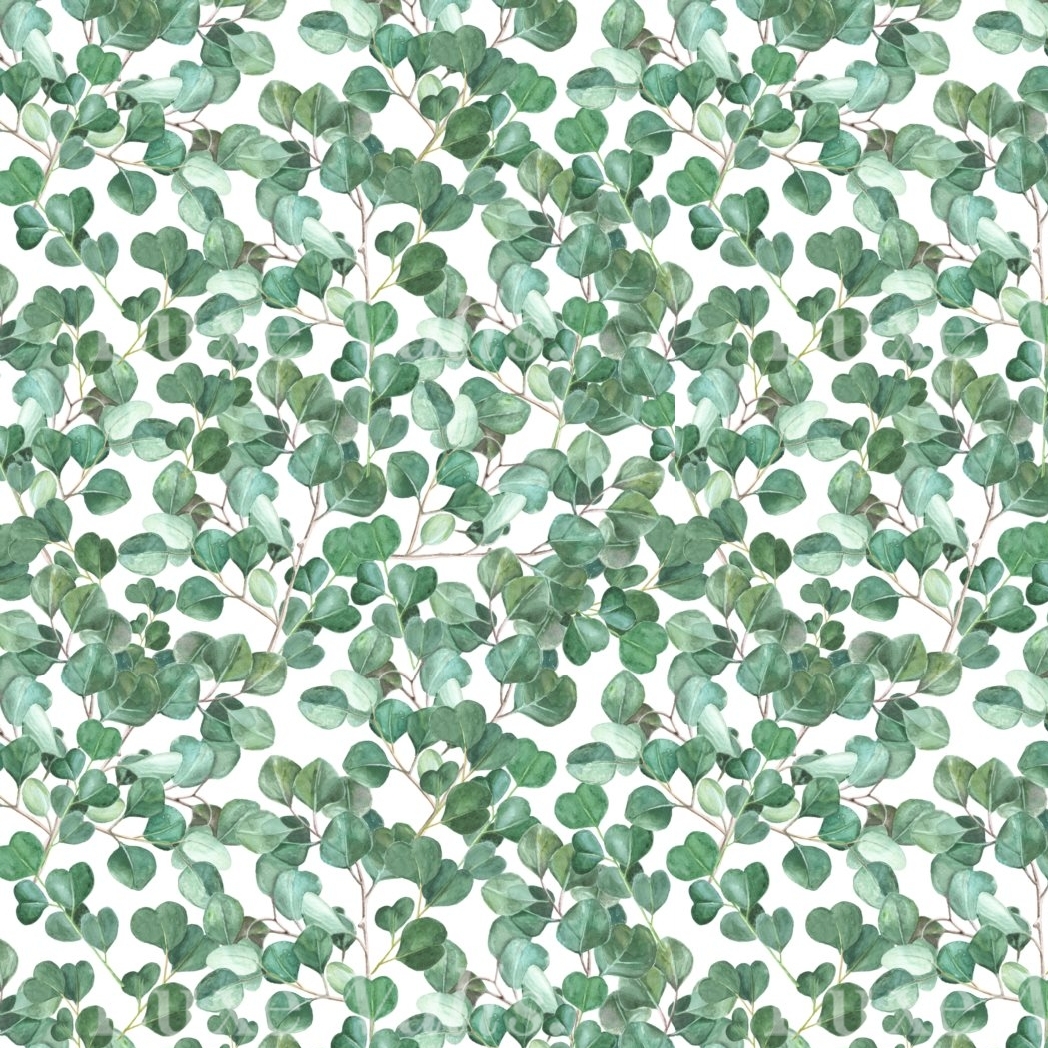 Watercolor Eucalyptus Pattern | Luxe Walls - Removable Wallpapers