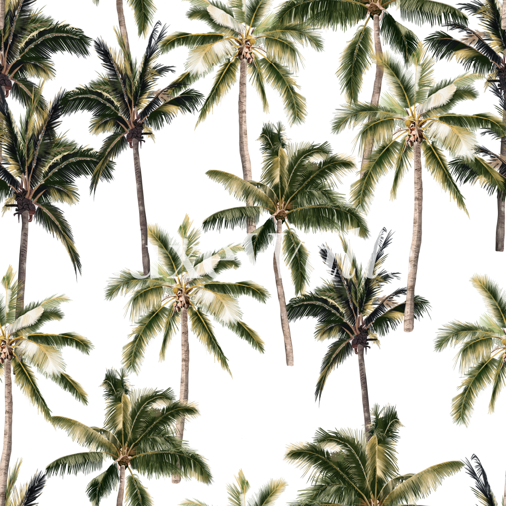oasis palms