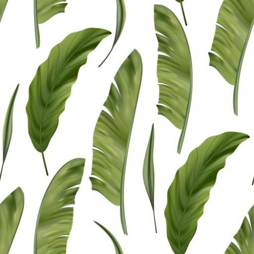 Green Palm Leaves Wallpaper | Luxe Walls - Removable Wallpapers